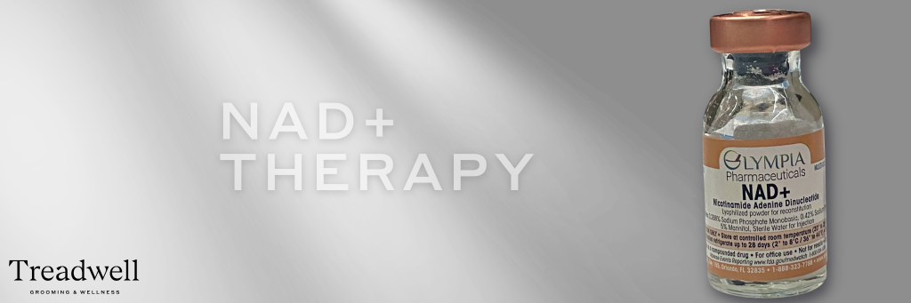 NAD IV Therapy bottle